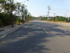 廬山化纖工業基地綠化
